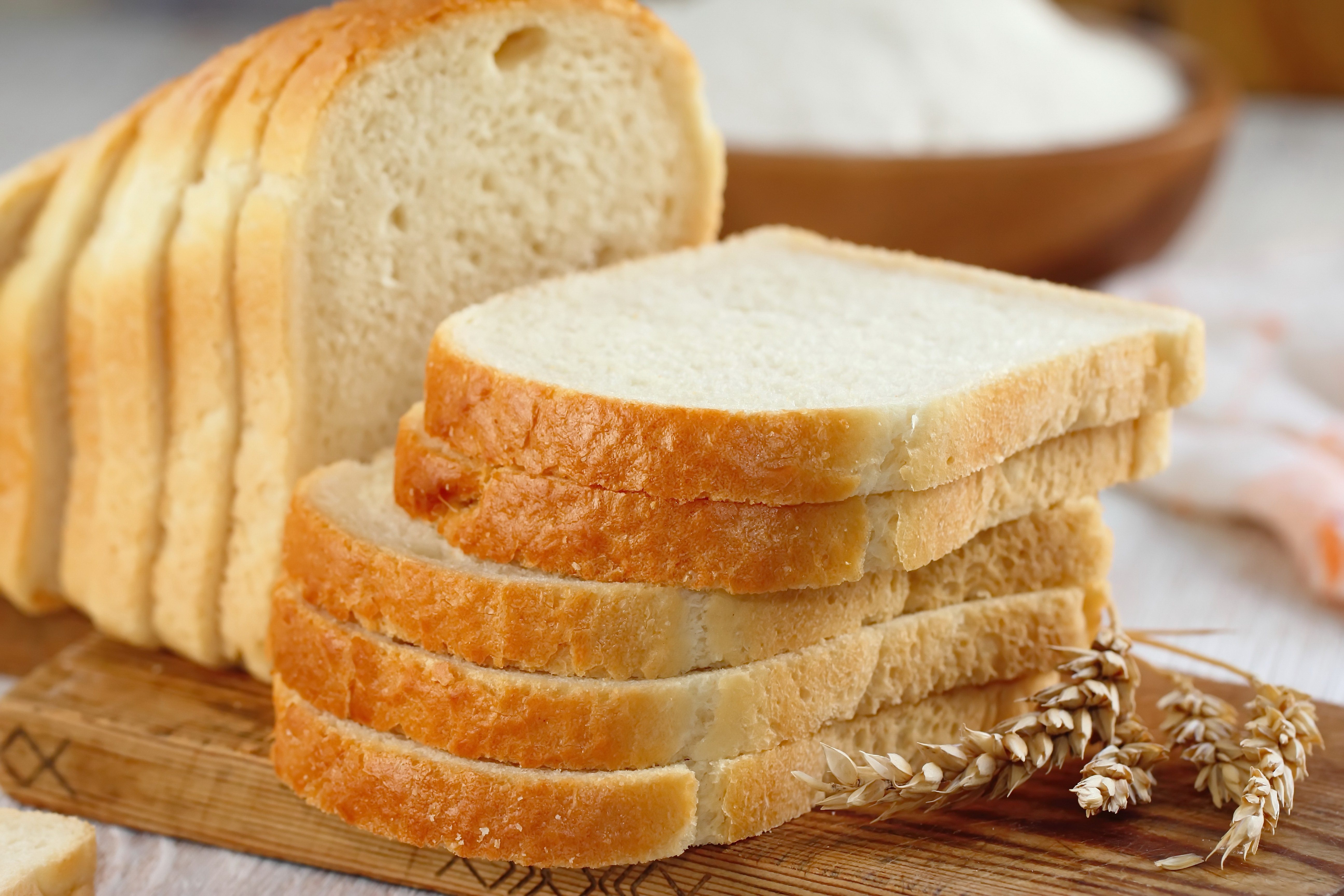 Why does bread mold so fast in my house?