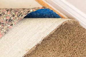 Pulled Back Carpet and Padding In Room of House.