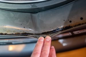 front loading washing machine with mold growing on door gasket