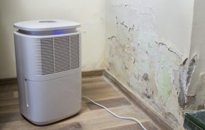 Sugar Land Mold Remediation - water damaged drywall